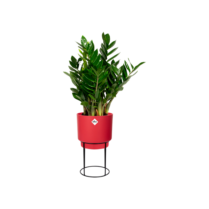 b.for studio rund 22cm brillantrot